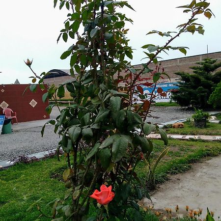 Motel Sahara Suites Barranca Buitenkant foto